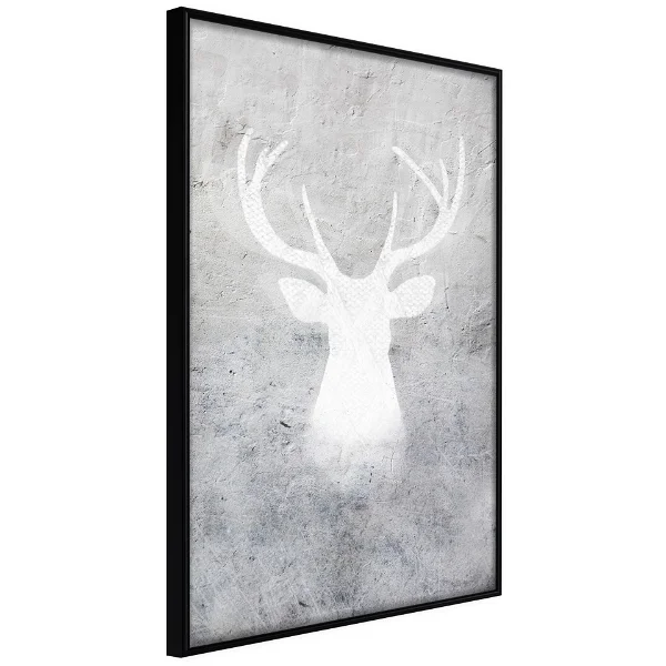 Poster 'White Shadow'