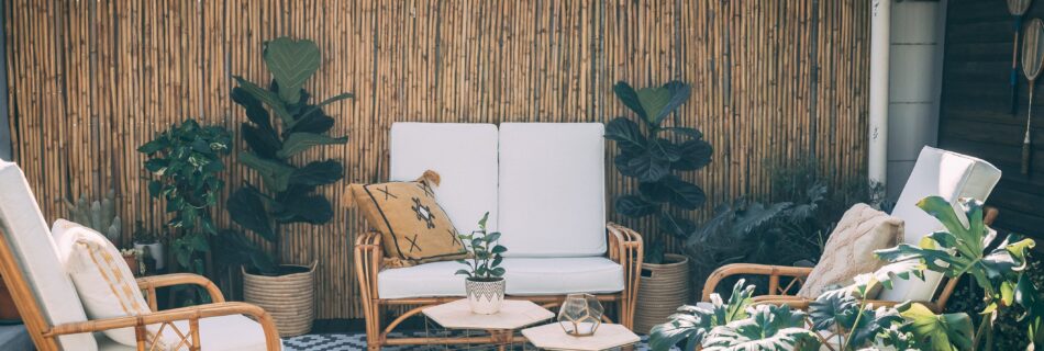 ein naturnaher Außenbereich mit Zimmerpflanzen und Holzakzenten