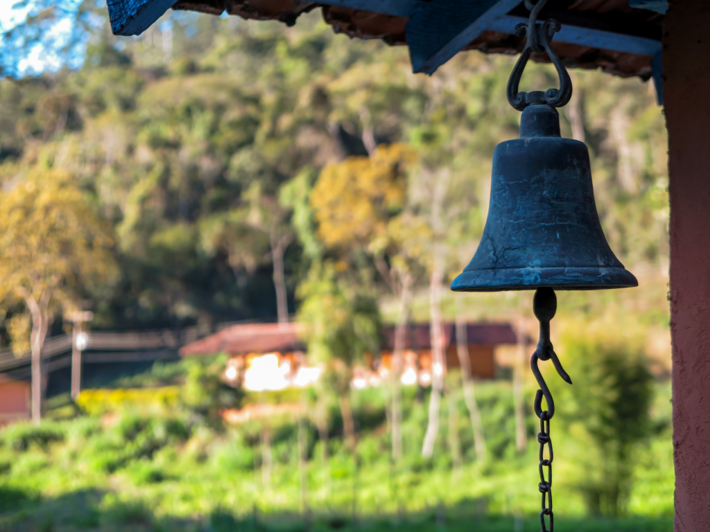Ein Bild eines Windspiels mit Naturhintergrund
