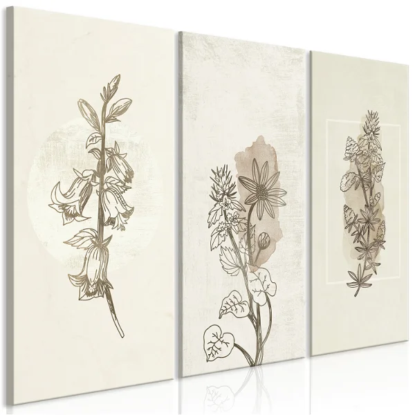 Kunstdruck auf Leinwand 'Herbarium (3-teilig)' bild