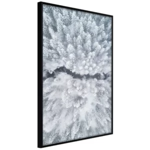 poster-winter-forest-from-a-birds-eye-view
