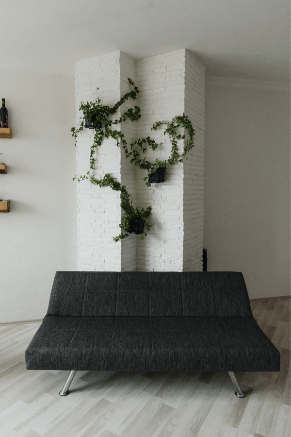 ein farbiges schwarzes Bettsofa