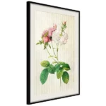 poster romance i
